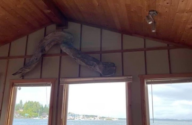 Floating Cabin