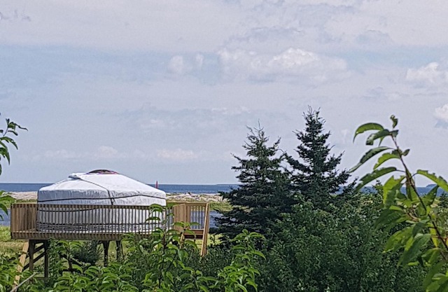 Flying moose yurt at Cabot Shores Wilderness Resort