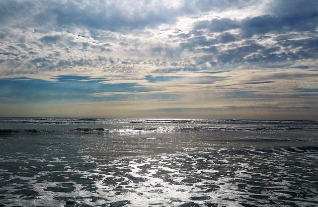 Forest and thalasso beach a few meters