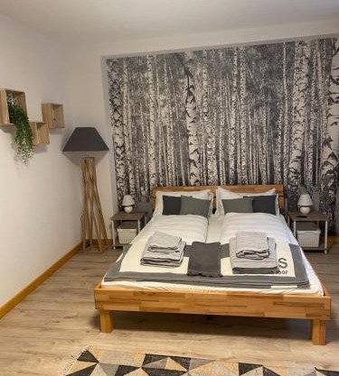 Forest Apartment-Forest Escape Menzenschwand