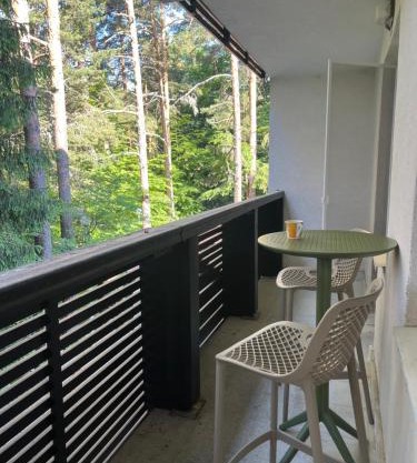 Forest Chamkoria Apartment with Terrace, Borovets