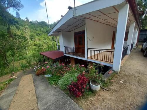 Forest Glen Nest Ella