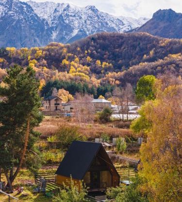Forest view kazbegi