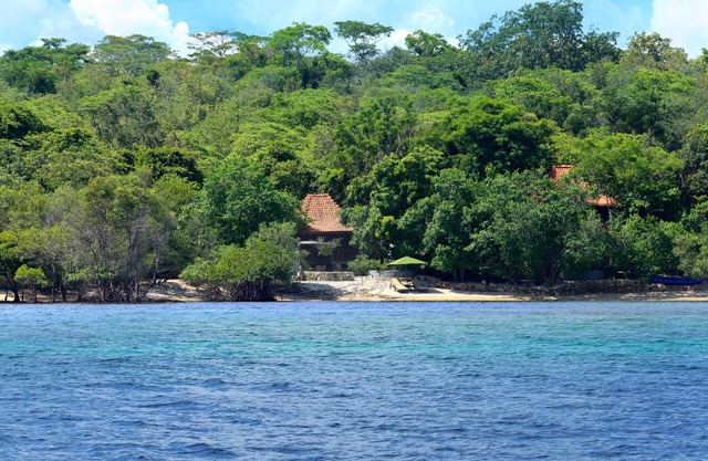 Forest Villa @ West Bali National Park