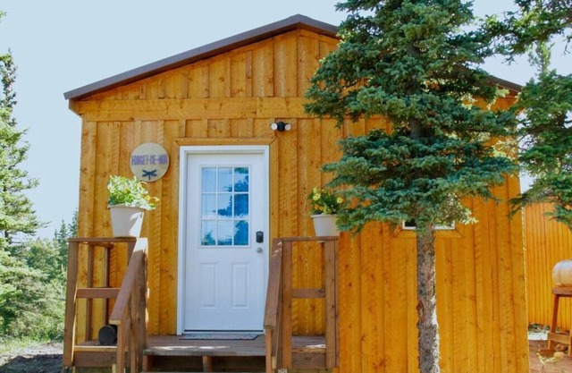 Forget Me Not Cabin -Arctic Dragonfly Inn