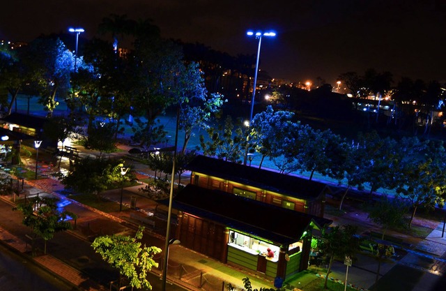 Fort Savane