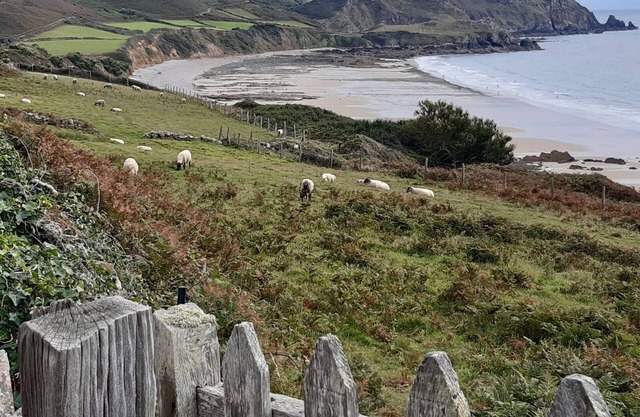 Charmante Maison vue sur mer Dans Village Typique du Cotentin