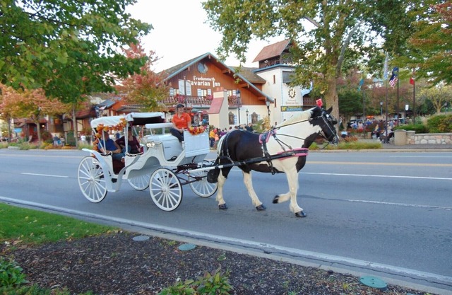 Frankenmuth Getaway