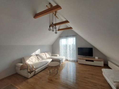 Fryko apartamentai Kaune