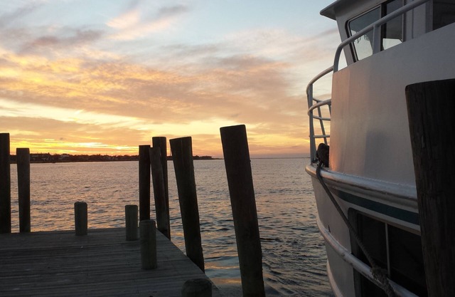 🌞Full-Sized Heated Private Pool⛱Hot Tub🍹2 houses⇿Sleeps 12🏄