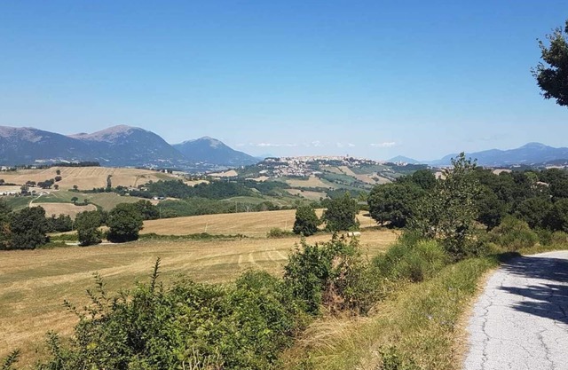 Functional Mini Luxury Lodges Near Camerino