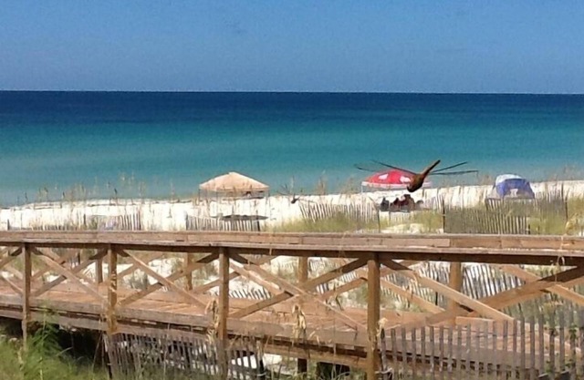 FUNSEEKER- 5 STAR PROPERTY! 49 SEC TO BCH. GULF VIEW & PETS OK