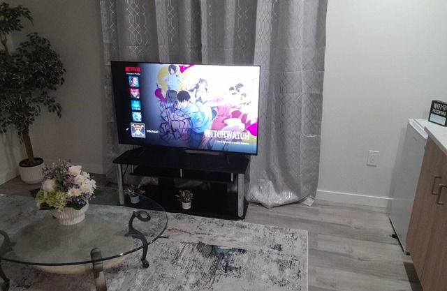 Furnished basement with seperate entrance ,living room,washroom and kitchenette