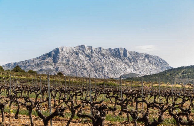 Gîte au milieu des Vignes - Syrah