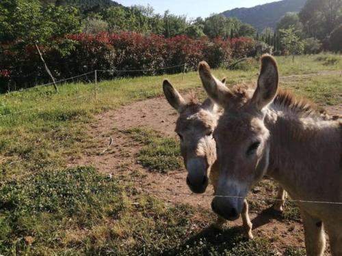 Gîte de charme avec piscine privative