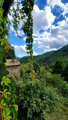 Gîte de Combelebouze en Cévennes - Cosy, Confort et Climatisé - 3 étoiles