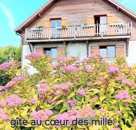 gîte des 1000 étangs