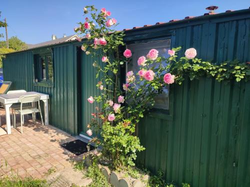 Gîte insolite La Renouée