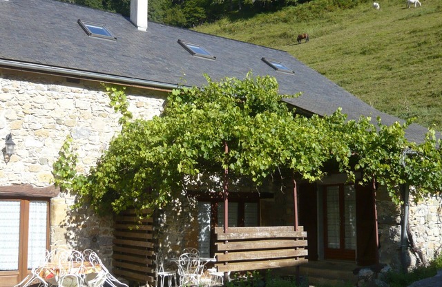 Gîte Jaune - House on 5 ha property, swimming pool, sauna, animals,