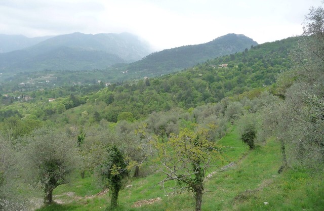 Gîte l'Oliveraie n ° 2