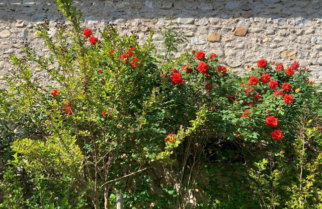 Gîte Mon Paradis