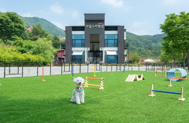 Gapyeong Chagall Spa Pension