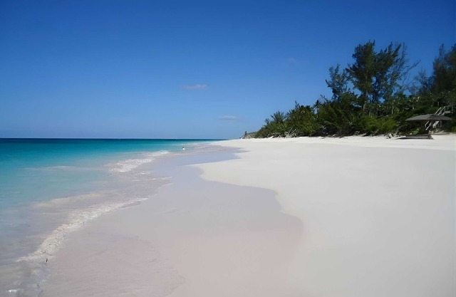 Garden of Light,Charming Oceanfront Villa,Tiki Huts& Generator,10% off 7+ nights