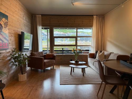 Geiloholtet central city apartment