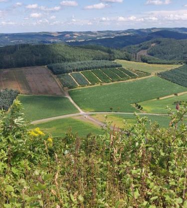 gemütliche Dachgeschoss- Ferienwohnung im Grünen