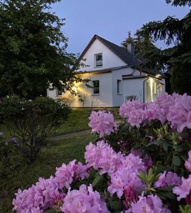 gemütliches Ferienhaus