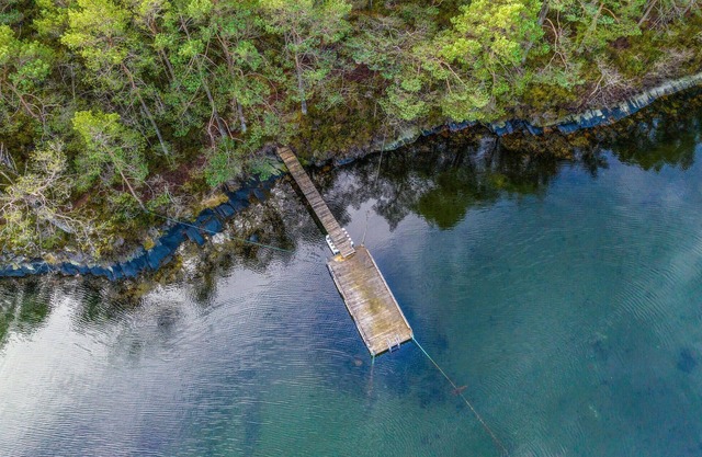 Get ready for a great nature vacation in this vacation home.