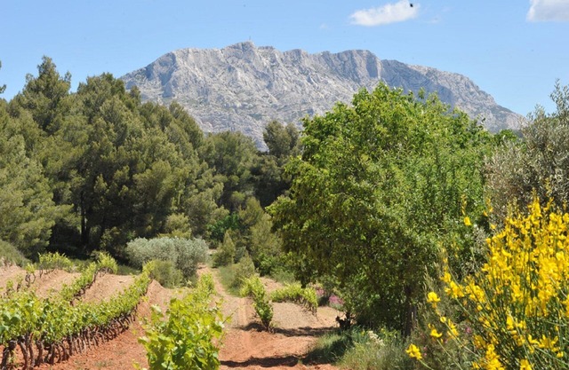 Gîte among the vines - Grenache