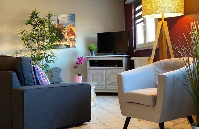 Gite géranium located in Eguisheim with private parking, 10km from Colmar