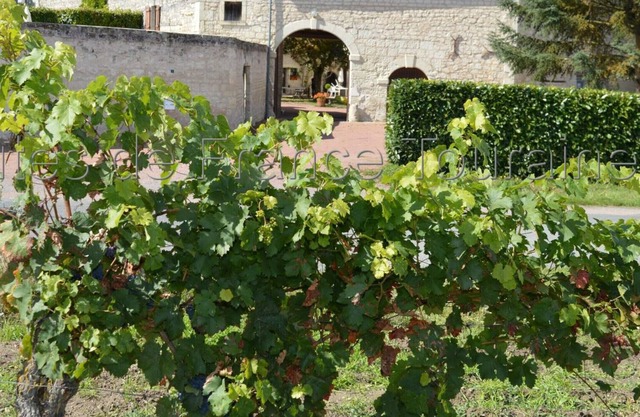 Gite Ligré, 7 bedrooms, 15 persons