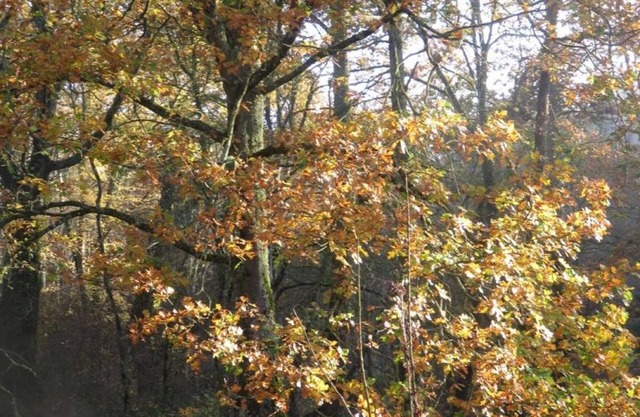 Gite Louroux-de-Bouble, 3 bedrooms, 6 persons