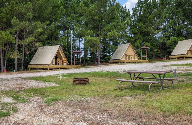 Glamping Under the Stars at Lake Livingston