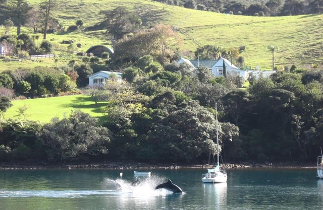 Glenfern Sanctuary
