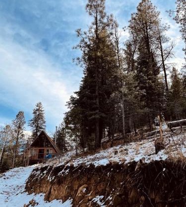 Gorgeous Cabin with Fireplace and Stunning Forest Sights in Prescott, Arizona