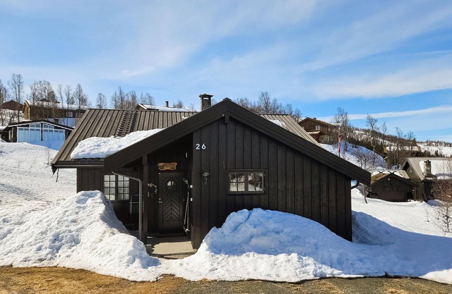 Gorgeous home in Rjukan with kitchen