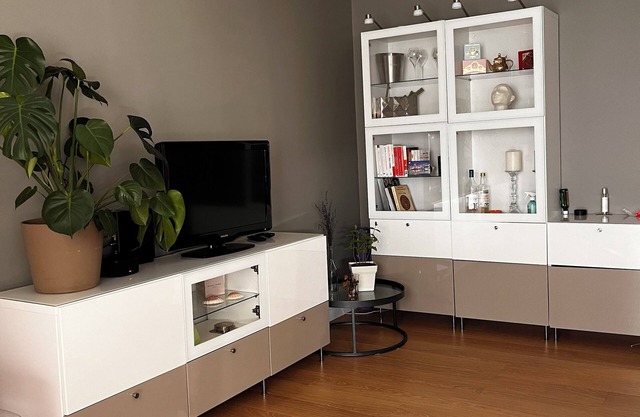 Grand Appart Moderne Avec Charme et Fonctionnalité