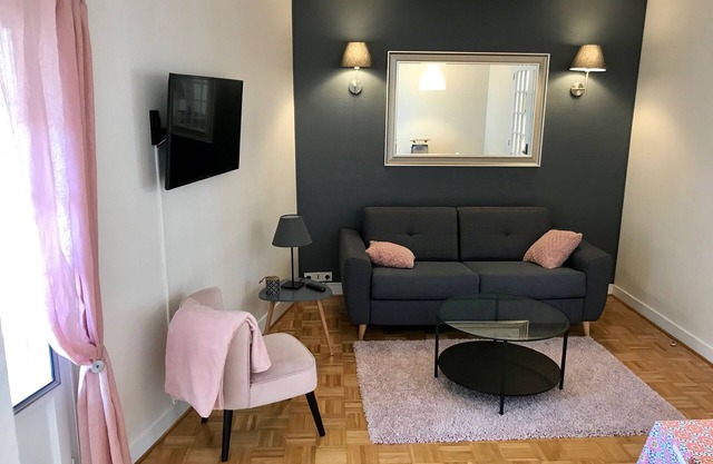 Grand Appartement de Charme 150m2 Vieux Chinon