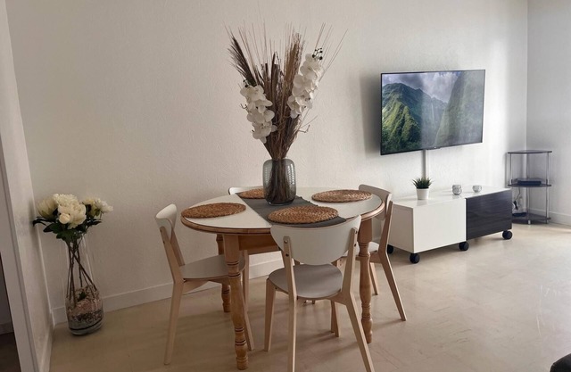 Grand F2 de 52m2 en Centre Ville