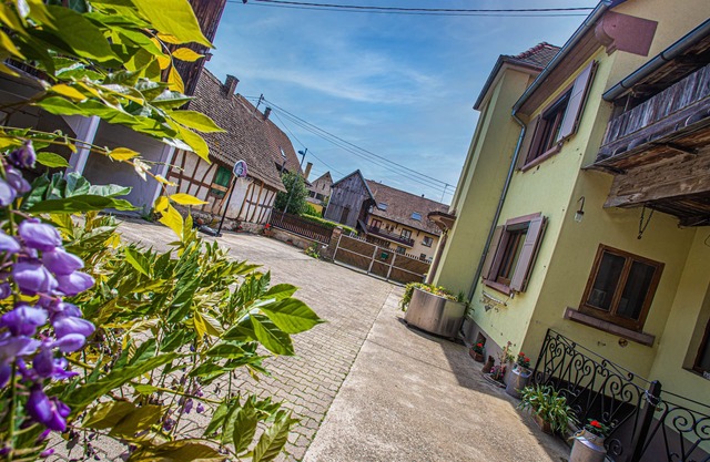 Grand Gîte Jusqu'à 14 Personnes Prox Europapark