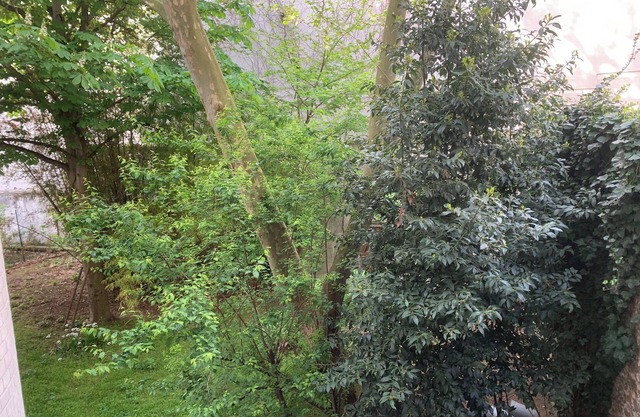 Grand Studio de Caractère Paris 11e à Deux pas du Père-lachaise