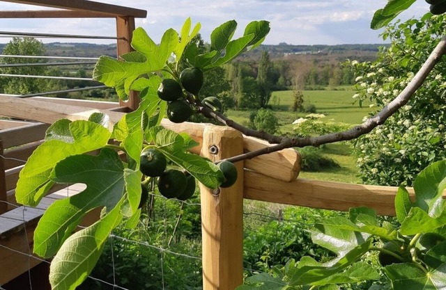 grande girondine in the heart of the montaigne and gurson vineyards