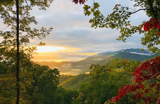 Great Mountain Views near Cherokee and Bryson City, NC w/1 BR, grill, & firepit