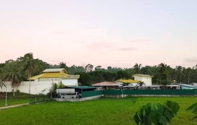 green aa garden resort