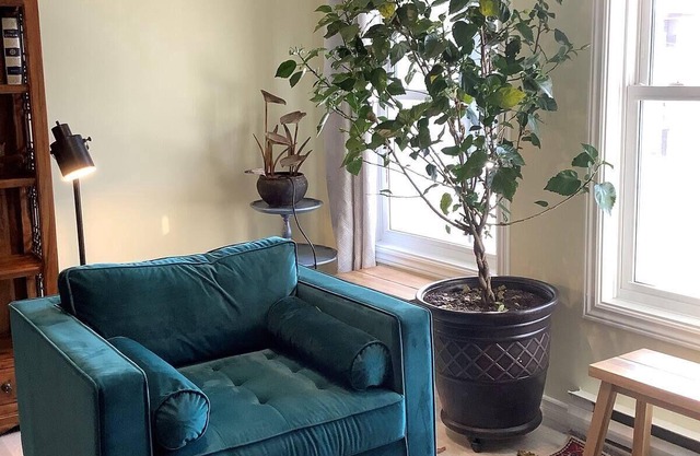 Green Blossoming, Sunny, Newly Renovated, Condo