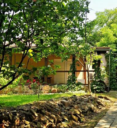 Green Haven Retreat - Nature's peace just for you