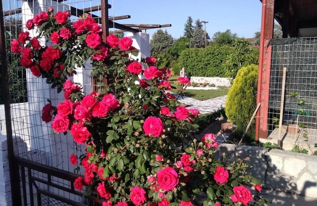 Green house - Apartment in Aridaia-Loutra Pozar
